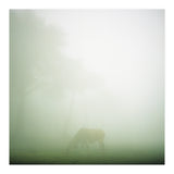 Silence of breath - 09 (Print Only) thumbnail