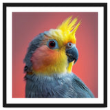 Cockatiel Parrot Head Close Up Portrait thumbnail