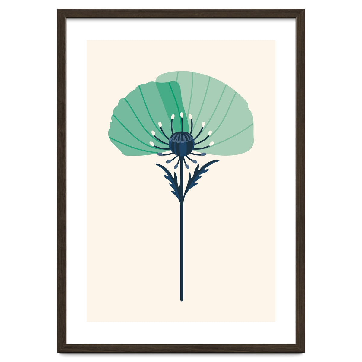 Teal Half Poppy