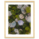 Hydrangeas | Portrait thumbnail