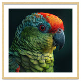 Close Up Colorful Parrot Bird Feather thumbnail