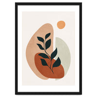 Soft Shapes II