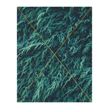 Restricted Reality (Print Only) thumbnail