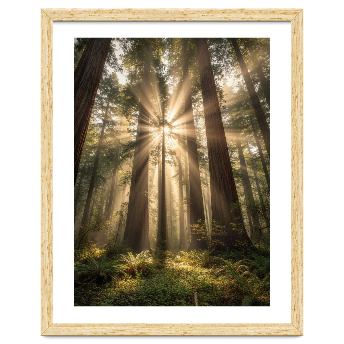 Ethereal Redwood Sanctuary: Sunbeams in the Ancient Forest