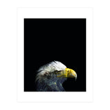 What It A Dream (Print Only) thumbnail