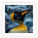 King Penguin Close Up In The Rain thumbnail
