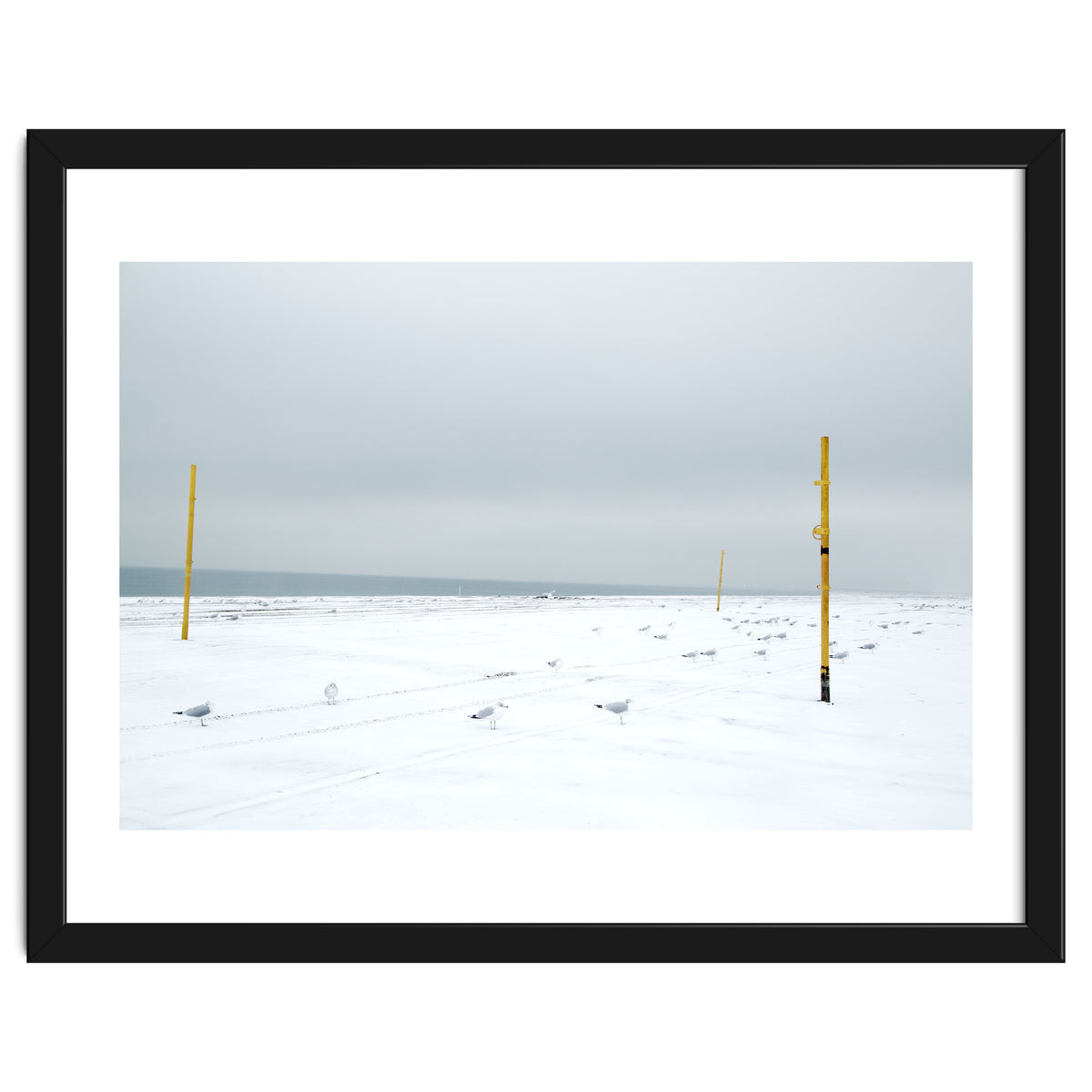 Seagulls in between the volleyball poles in winter snow beach