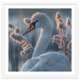 Swan Portrait Dew Drops Morning Light thumbnail