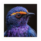 Close Up Portrait Of A Vibrant Exotic Bird (Print Only) thumbnail