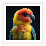 Vibrant Sun Conure Parrot Close Up Portrait thumbnail