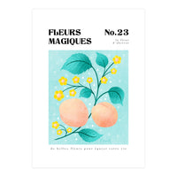 Magical Flowers No.23 Apricot Blossom (Print Only)