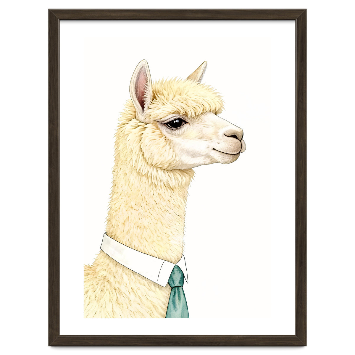 Alpaca