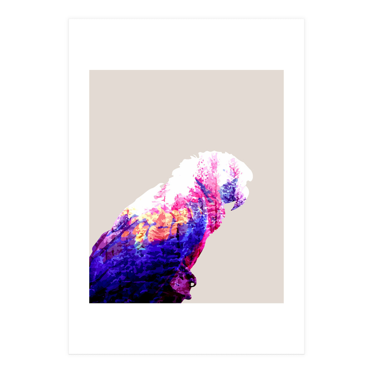 Macaw (Print Only)