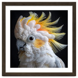 Beautiful Cockatoo Parrot Portrait Headshot thumbnail
