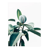 L'amour de ma vie #society6 #decor #buyart (Print Only) thumbnail