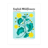 English Wildflowers | Lesser Celandine (Print Only) thumbnail