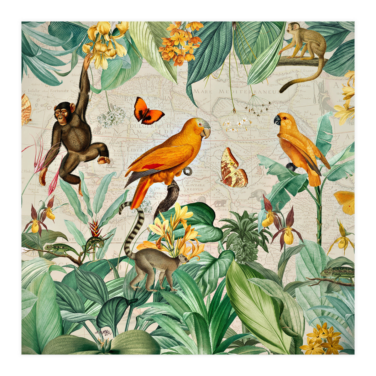 Vintage African Tropical Jungle Fun Animals (Print Only)