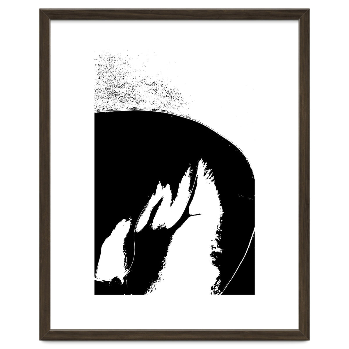 Black & White Study III