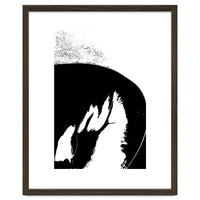 Black & White Study III