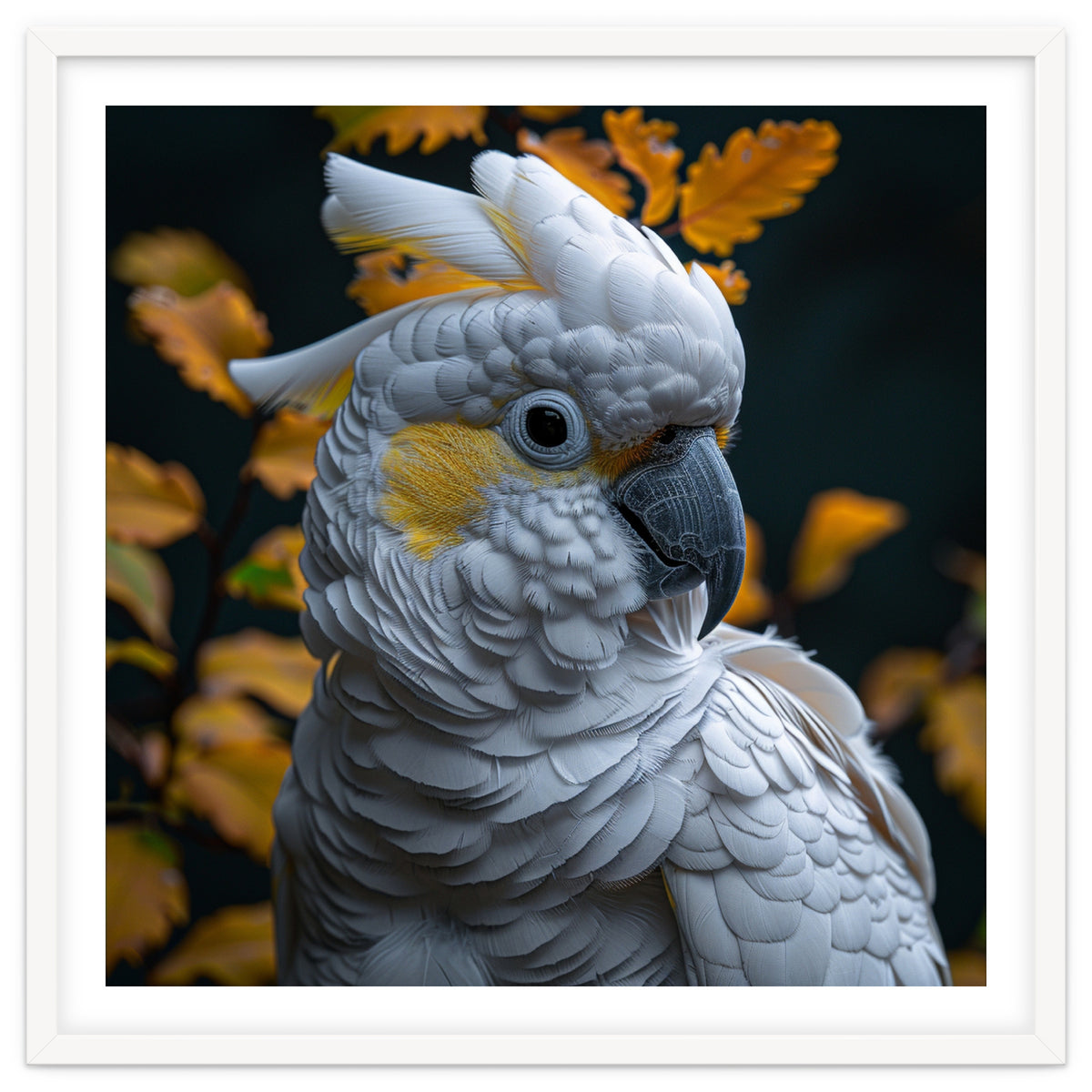 Yellow Crested Cockatoo Portrait Autumn Leaves Dark