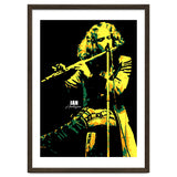 Ian Anderson Musician Legend thumbnail