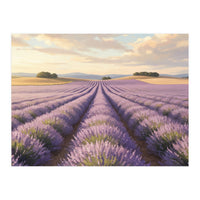 Provençal Sunset: Lavender Field Landscape (Print Only)