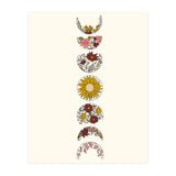 Floral Phases Of The Moon (Print Only) thumbnail