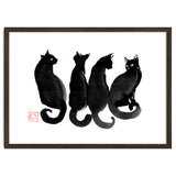 4 Black Cats thumbnail