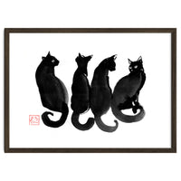 4 Black Cats