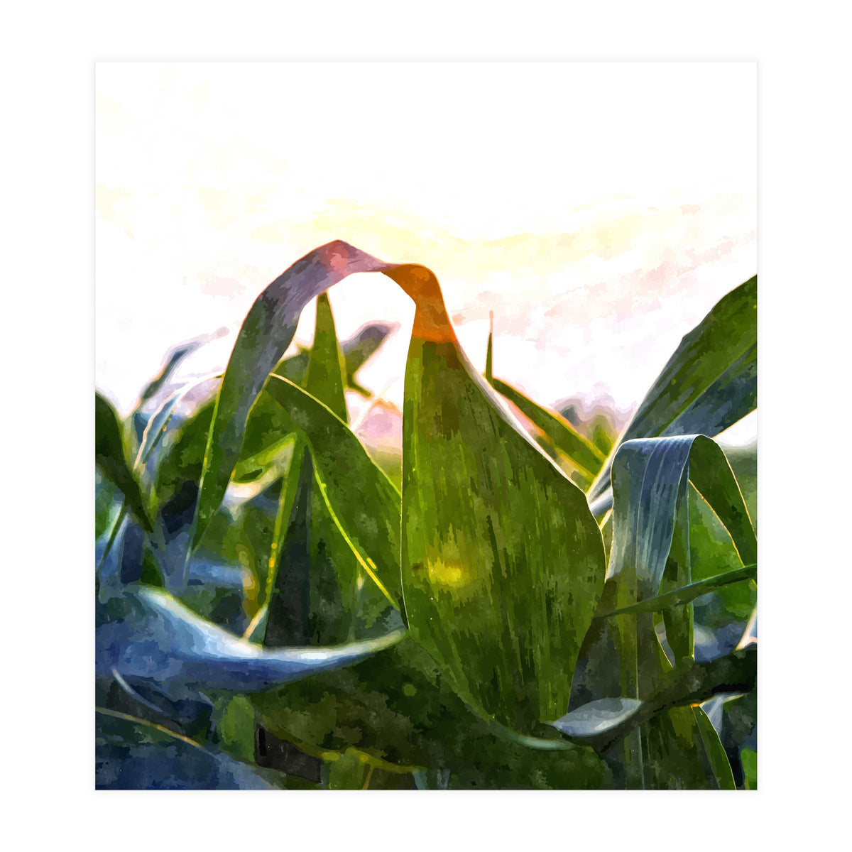 Hope With Abstraction (Print Only)