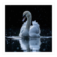 Majestic Swan Swimming In Dark Water (Print Only)