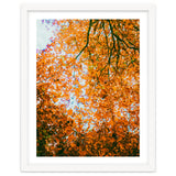 Autumn Leaves thumbnail