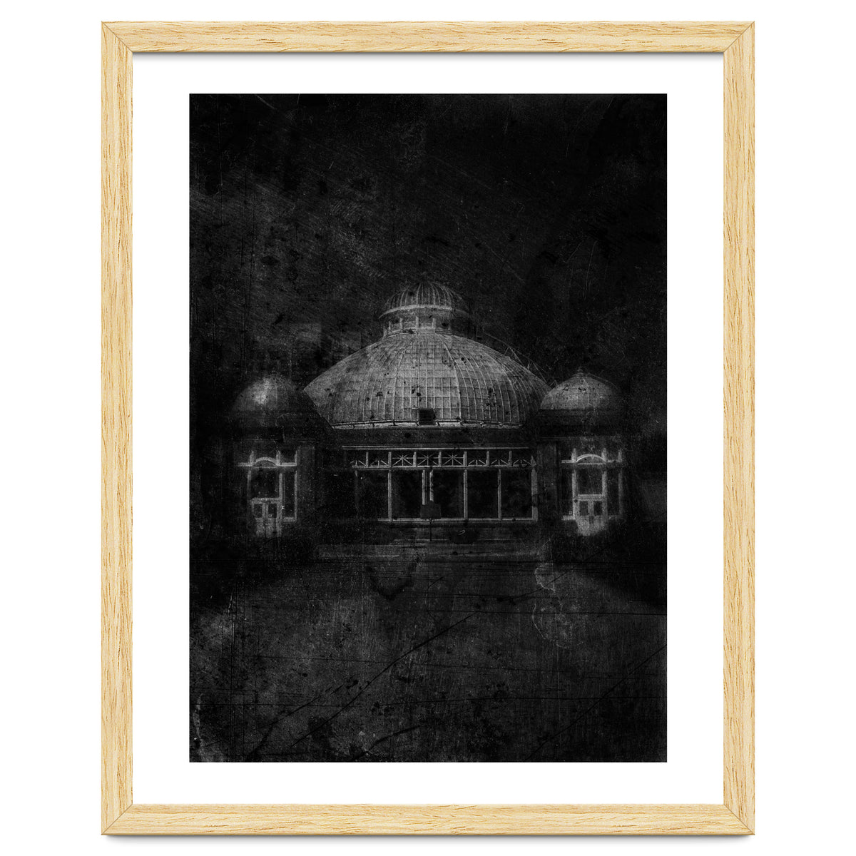 Allan Gardens Conservatory Palm House No 3 Old Film Version