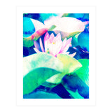 Watercolor Lotus (Print Only) thumbnail