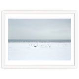 Seagulls in the Snow beach thumbnail