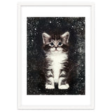 Bicolor Cute Kitten Portrait thumbnail