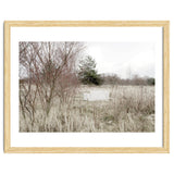 Abandoned Sofa in the middle of nowhere thumbnail