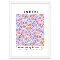 Carnations And Snowdrop January Birth Flower Floral Print