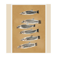 Minimal Fish Study (Print Only)