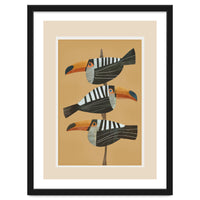 Tropic Trio