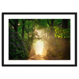 Hare in paradise thumbnail