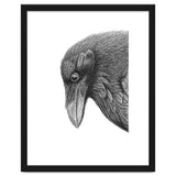 Huginn thumbnail