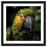 Close Up Of A Colorful Macaw Parrot Face thumbnail