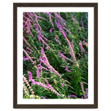 Lavender Flowers thumbnail