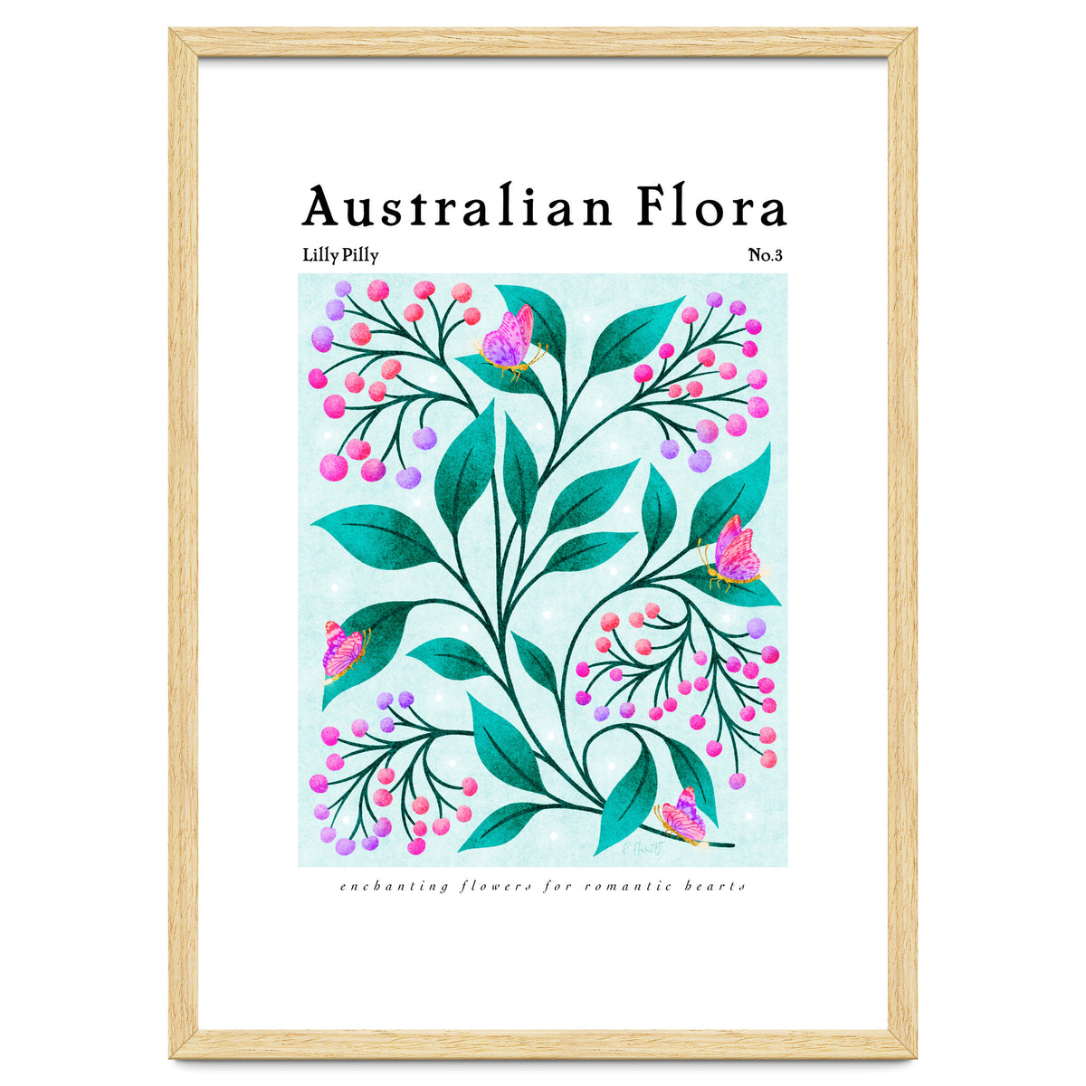 Australian Flora: Lilly Pilly