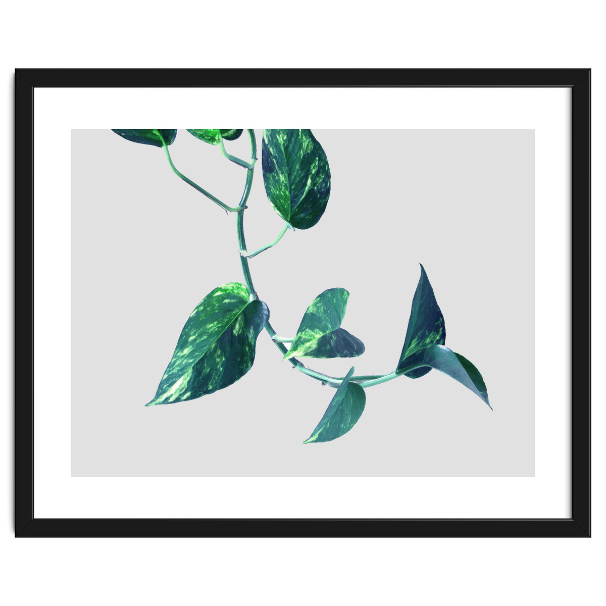 Projection & Emotion