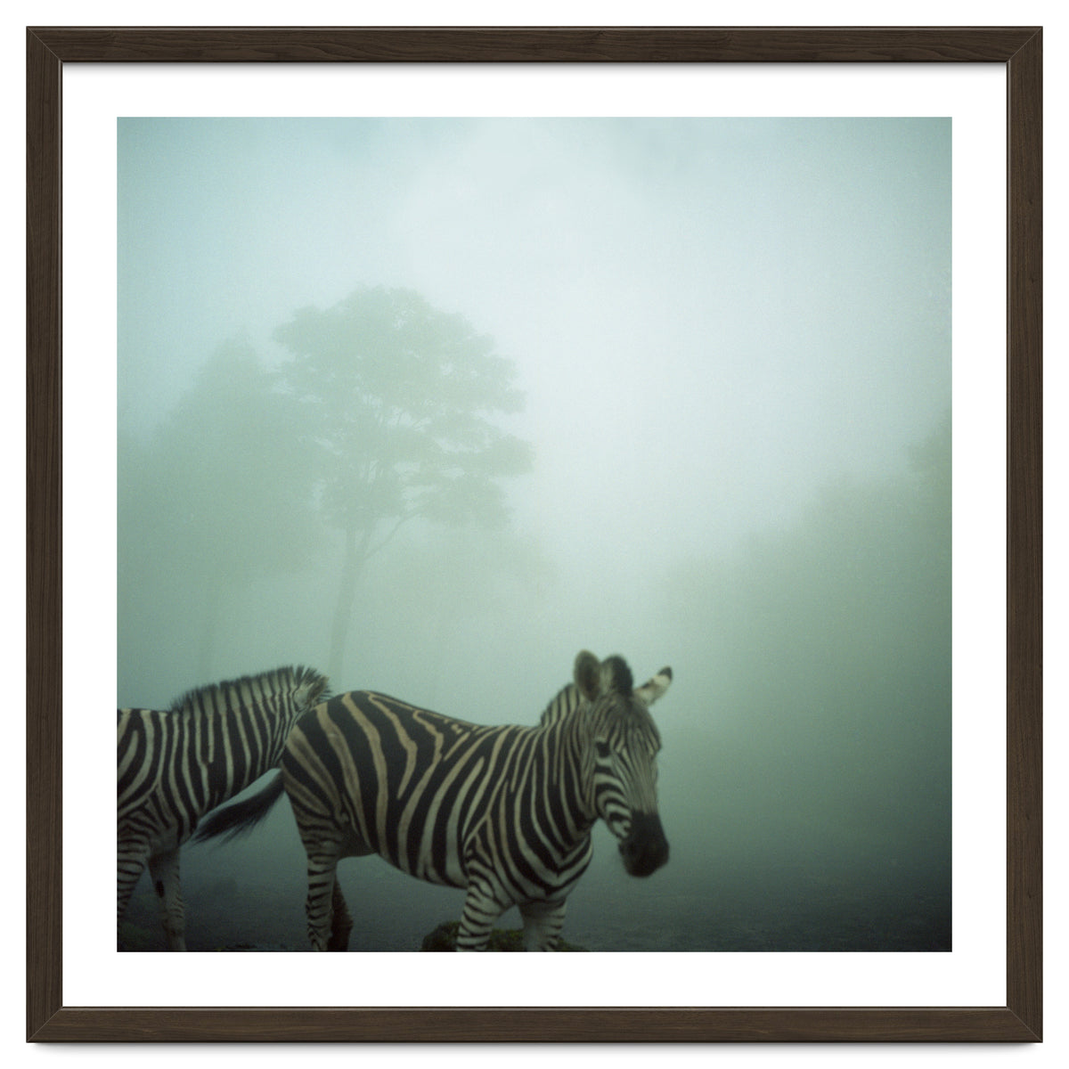 Silence of breath - 16