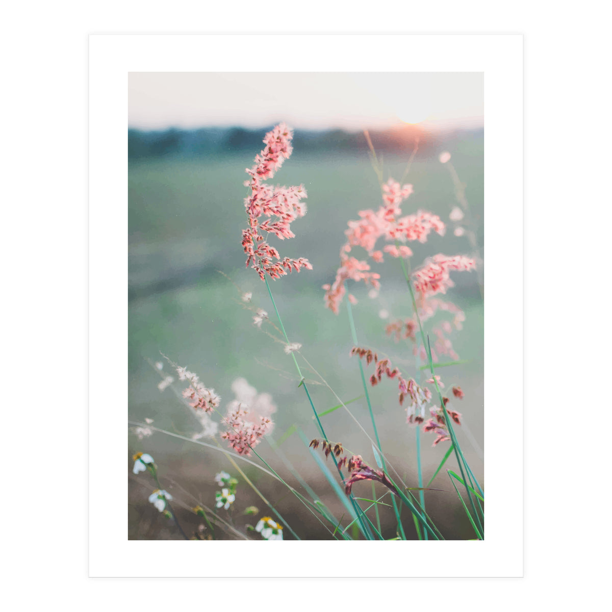 Dance With Air (Print Only)