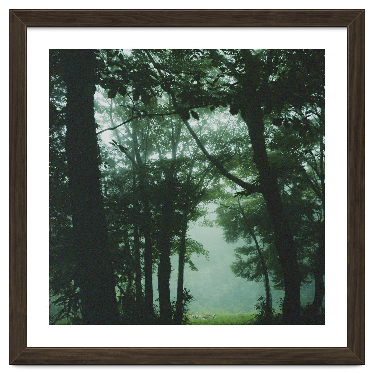 Silence of breath - 13