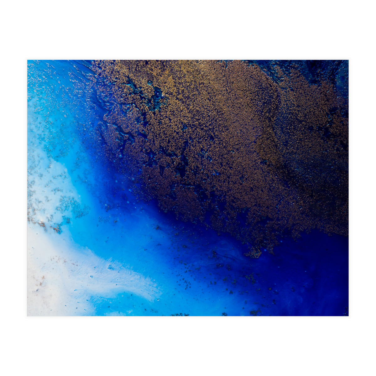 The Big Blue (Print Only)